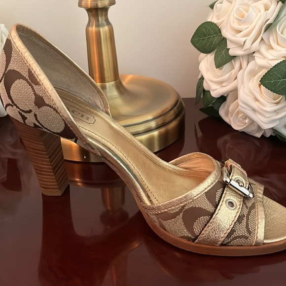 Heel. - Picture 4 of 7